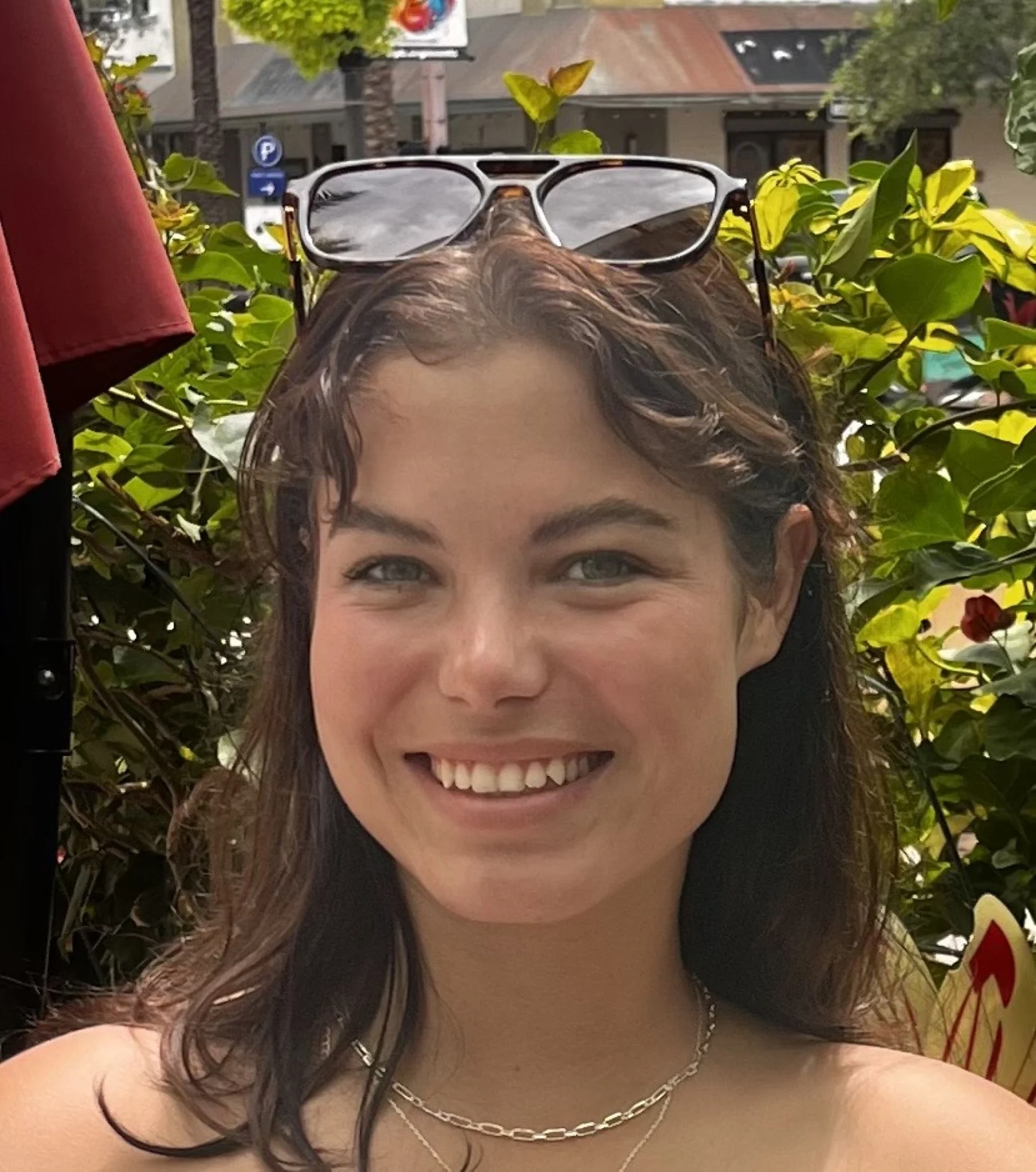 Klareisse Jordaan