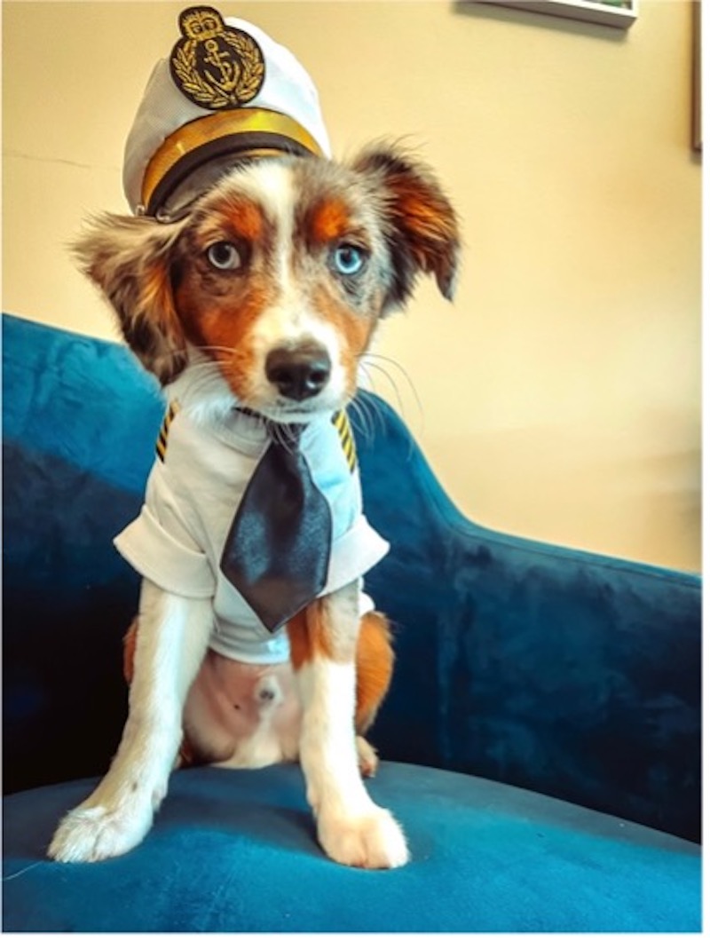 Lead Deck Dog Reef Gallagher